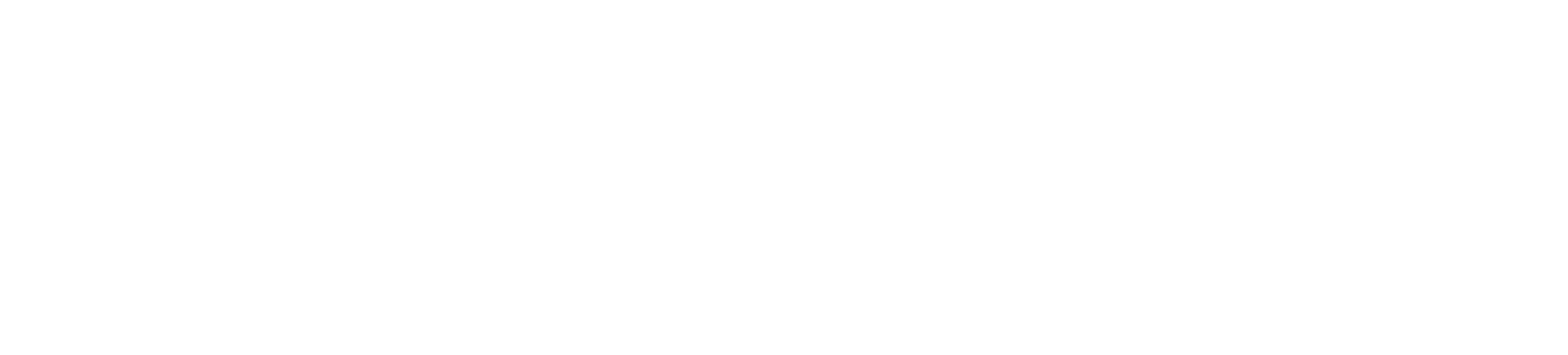 boomtown digital marketing